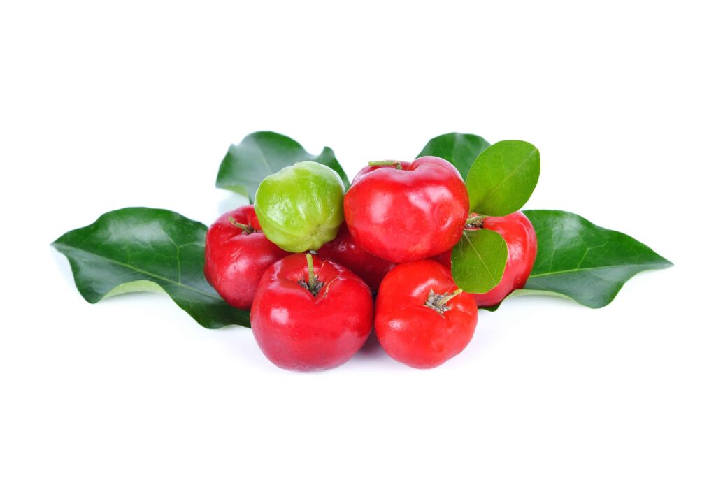 Acerola Vitamin Mineralien Mangel Einnahme Nahrungergänzung